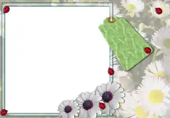 Εφέ φωτογραφιών στην κατηγορία Κορνίζες για φωτογραφίες γυναικών № 3103