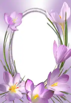 Εφέ φωτογραφιών στην κατηγορία Κορνίζες για φωτογραφίες γυναικών № 31786