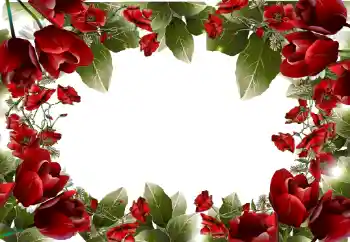 Εφέ φωτογραφιών στην κατηγορία Κορνίζες για φωτογραφίες γυναικών № 31814