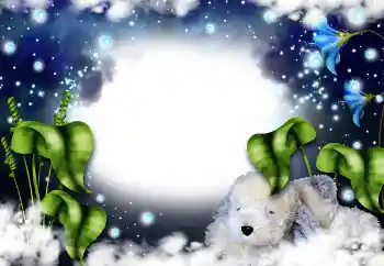 Εφέ φωτογραφιών στην κατηγορία Κορνίζες για φωτογραφίες γυναικών № 31821