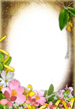 Εφέ φωτογραφιών στην κατηγορία Κορνίζες για φωτογραφίες γυναικών № 31838