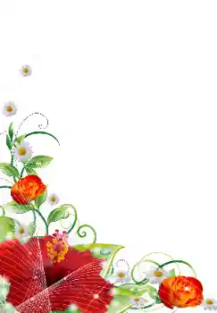 Εφέ φωτογραφιών στην κατηγορία Κορνίζες για φωτογραφίες γυναικών № 31839