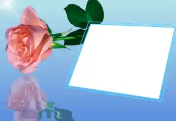 Εφέ φωτογραφιών στην κατηγορία Κορνίζες για φωτογραφίες γυναικών № 32721