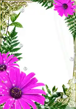 Εφέ φωτογραφιών στην κατηγορία Κορνίζες για φωτογραφίες γυναικών № 32733