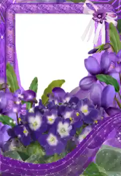 Εφέ φωτογραφιών στην κατηγορία Κορνίζες για φωτογραφίες γυναικών № 33734