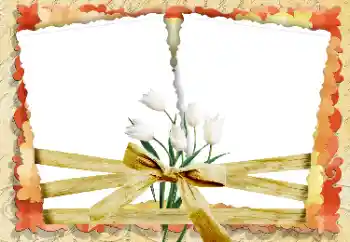 Εφέ φωτογραφιών στην κατηγορία Κορνίζες για φωτογραφίες γυναικών № 33847