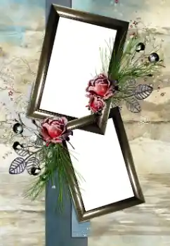 Εφέ φωτογραφιών στην κατηγορία Κορνίζες για φωτογραφίες γυναικών № 33893