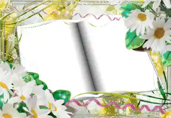 Εφέ φωτογραφιών στην κατηγορία Κορνίζες για φωτογραφίες γυναικών № 33968