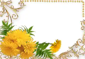 Εφέ φωτογραφιών στην κατηγορία Κορνίζες για φωτογραφίες γυναικών № 34042