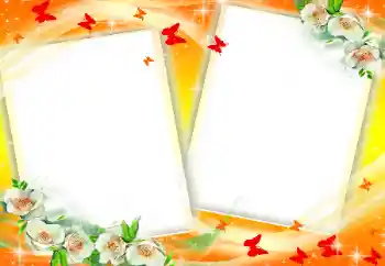 Εφέ φωτογραφιών στην κατηγορία Κορνίζες για φωτογραφίες γυναικών № 34046