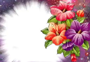 Εφέ φωτογραφιών στην κατηγορία Κορνίζες για φωτογραφίες γυναικών № 34074