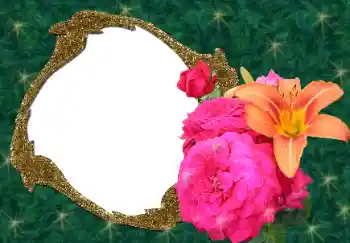 Εφέ φωτογραφιών στην κατηγορία Κορνίζες για φωτογραφίες γυναικών № 34688