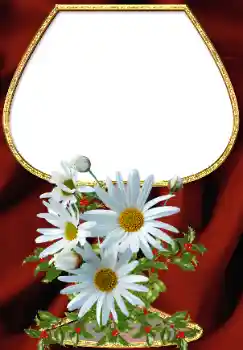 Εφέ φωτογραφιών στην κατηγορία Κορνίζες για φωτογραφίες γυναικών № 34708