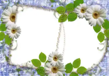 Εφέ φωτογραφιών στην κατηγορία Κορνίζες για φωτογραφίες γυναικών № 34745