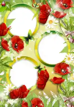 Εφέ φωτογραφιών στην κατηγορία Κορνίζες για φωτογραφίες γυναικών № 34748