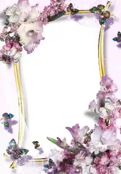 Εφέ φωτογραφιών στην κατηγορία Κορνίζες για φωτογραφίες γυναικών № 3488