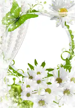 Εφέ φωτογραφιών στην κατηγορία Κορνίζες για φωτογραφίες γυναικών № 3493