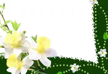 Εφέ φωτογραφιών στην κατηγορία Κορνίζες για φωτογραφίες γυναικών № 35016