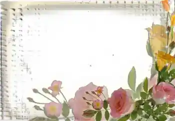 Εφέ φωτογραφιών στην κατηγορία Κορνίζες για φωτογραφίες γυναικών № 35017