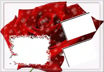 Εφέ φωτογραφιών στην κατηγορία Κορνίζες για φωτογραφίες γυναικών № 3592