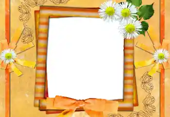 Εφέ φωτογραφιών στην κατηγορία Κορνίζες για φωτογραφίες γυναικών № 36135