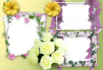 Εφέ φωτογραφιών στην κατηγορία Κορνίζες για φωτογραφίες γυναικών № 37138