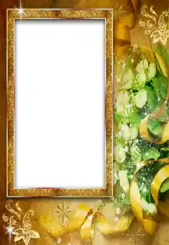 Εφέ φωτογραφιών στην κατηγορία Κορνίζες για φωτογραφίες γυναικών № 38587