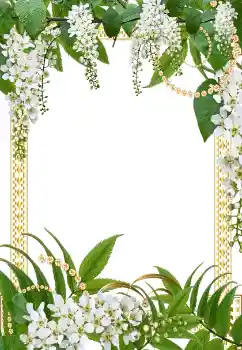 Εφέ φωτογραφιών στην κατηγορία Κορνίζες για φωτογραφίες γυναικών № 40343