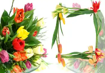 Εφέ φωτογραφιών στην κατηγορία Κορνίζες για φωτογραφίες γυναικών № 40387