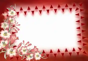 Εφέ φωτογραφιών στην κατηγορία Κορνίζες για φωτογραφίες γυναικών № 40390