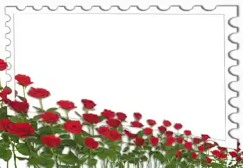 Εφέ φωτογραφιών στην κατηγορία Κορνίζες για φωτογραφίες γυναικών № 4162