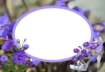 Εφέ φωτογραφιών στην κατηγορία Κορνίζες για φωτογραφίες γυναικών № 43545