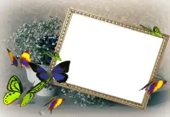 Εφέ φωτογραφιών στην κατηγορία Κορνίζες για φωτογραφίες γυναικών № 43592