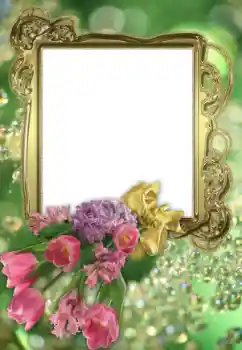 Εφέ φωτογραφιών στην κατηγορία Κορνίζες για φωτογραφίες γυναικών № 43605