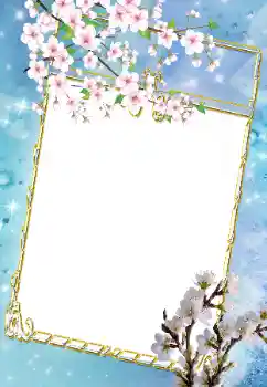 Εφέ φωτογραφιών στην κατηγορία Κορνίζες για φωτογραφίες γυναικών № 43639