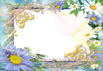 Εφέ φωτογραφιών στην κατηγορία Κορνίζες για φωτογραφίες γυναικών № 45792