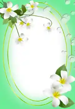 Εφέ φωτογραφιών στην κατηγορία Κορνίζες για φωτογραφίες γυναικών № 45823