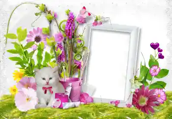 Εφέ φωτογραφιών στην κατηγορία Κορνίζες για φωτογραφίες γυναικών № 45889