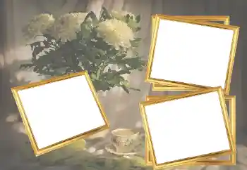 Εφέ φωτογραφιών στην κατηγορία Κορνίζες για φωτογραφίες γυναικών № 45921