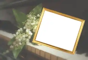 Εφέ φωτογραφιών στην κατηγορία Κορνίζες για φωτογραφίες γυναικών № 45929