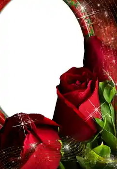 Εφέ φωτογραφιών στην κατηγορία Κορνίζες για φωτογραφίες γυναικών № 4603