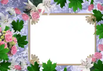 Εφέ φωτογραφιών στην κατηγορία Κορνίζες για φωτογραφίες γυναικών № 47030