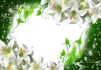 Εφέ φωτογραφιών στην κατηγορία Κορνίζες για φωτογραφίες γυναικών № 47175