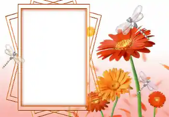 Εφέ φωτογραφιών στην κατηγορία Κορνίζες για φωτογραφίες γυναικών № 47199