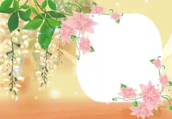 Εφέ φωτογραφιών στην κατηγορία Κορνίζες για φωτογραφίες γυναικών № 4893