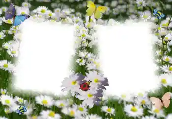 Εφέ φωτογραφιών στην κατηγορία Κορνίζες για φωτογραφίες γυναικών № 49398