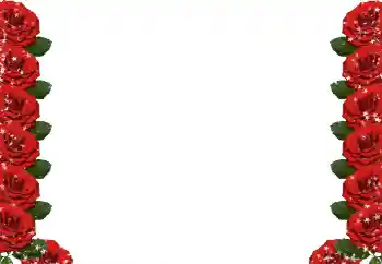 Εφέ φωτογραφιών στην κατηγορία Κορνίζες για φωτογραφίες γυναικών № 49424