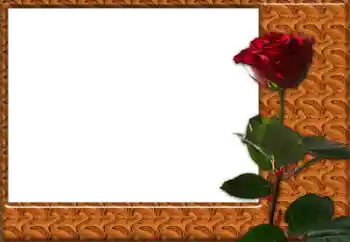 Εφέ φωτογραφιών στην κατηγορία Κορνίζες για φωτογραφίες γυναικών № 49427