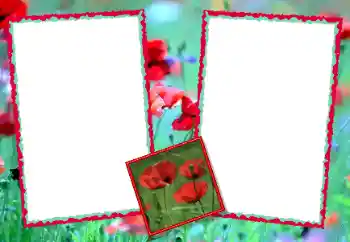 Εφέ φωτογραφιών στην κατηγορία Κορνίζες για φωτογραφίες γυναικών № 49428