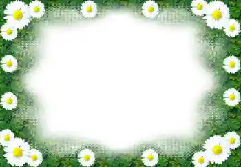 Εφέ φωτογραφιών στην κατηγορία Κορνίζες για φωτογραφίες γυναικών № 49443